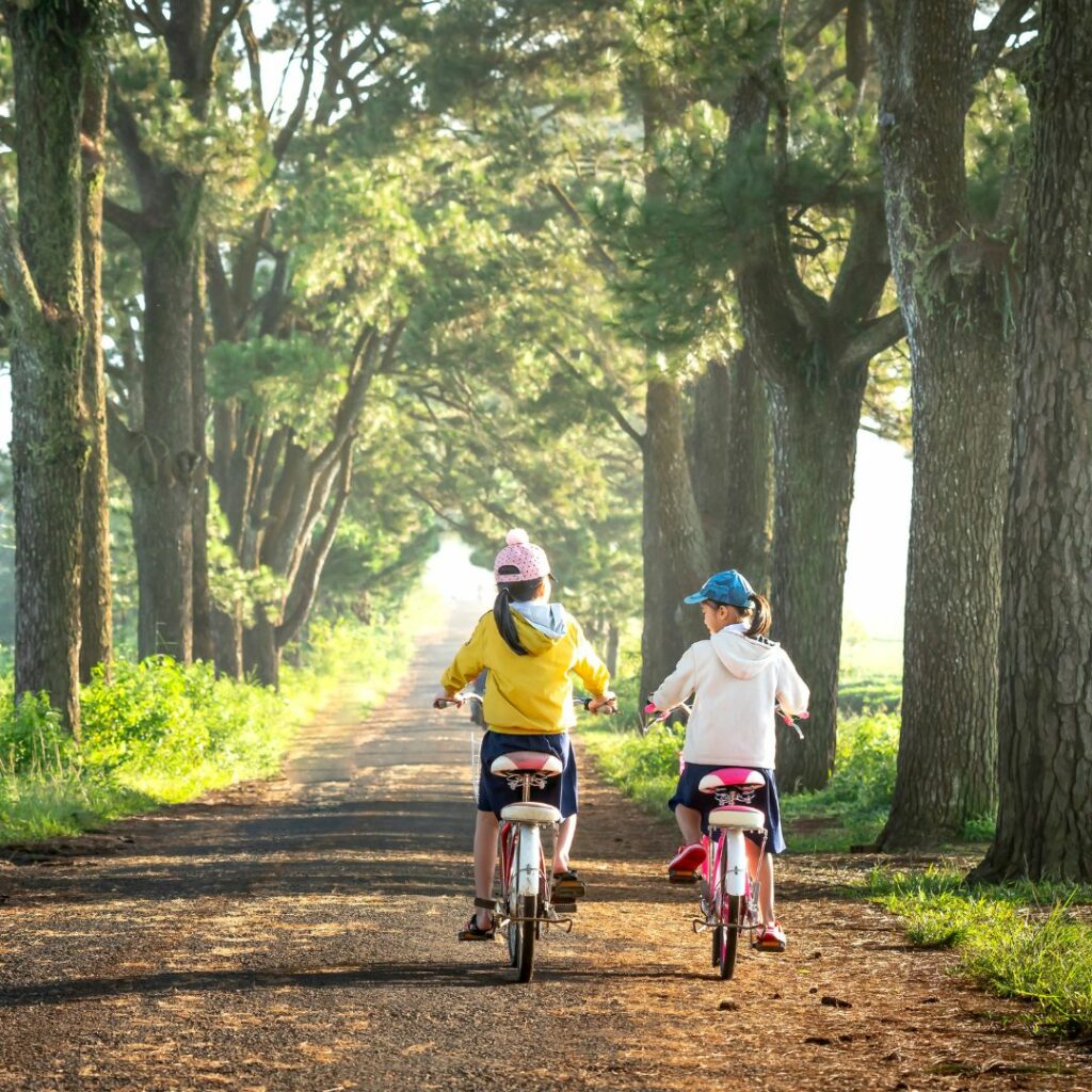 Plan bici